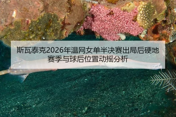 si-wa-tai-ke-nian-wen-wang-nv-dan-ban-jue-sai-chu-ju-hou-ying-di-sai-ji-yu-qiu-hou-wei-zhi-dong-yao-fen-xi-2-858.jpg